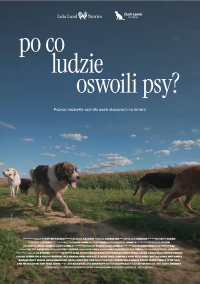 Grafika reklamowa