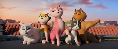 Slider - Film: Miss Moxy. Kocia ekipa