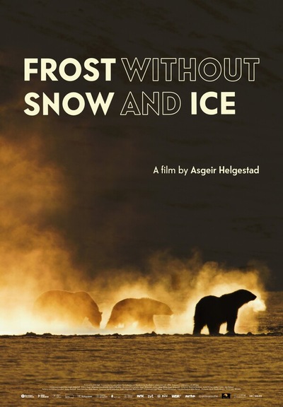 Slider - Film: Niedźwiedzica - Weekend z Festiwalem MDAG 2026