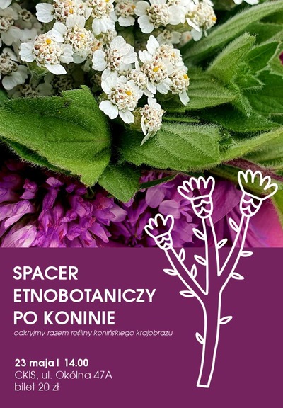 Slider - Wydarzenie: Spacer etnobotaniczy po Koninie – odkryjmy razem rośliny konińskiego krajobrazu