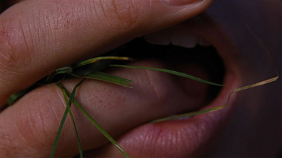 Slider - Film: Wichrowe wzgórza