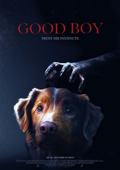 Slider - Film: GOOD BOY / 2D napisy 