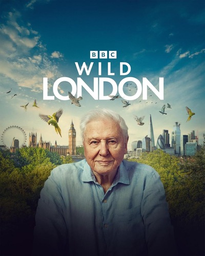 Slider - Film: LONDYN DAVIDA ATTENBOROUGH | SEANS Z BBC STUDIOS Z OKAZJI 100. URODZIN SIR DAVIDA ATTENBOROUGH