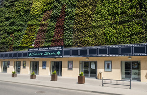 Centrum Kultury Filmowej „Kino Zorza”