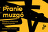 PRANIE MUZGÓ 