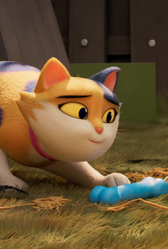 Miss Moxy, Kocia Ekipa 