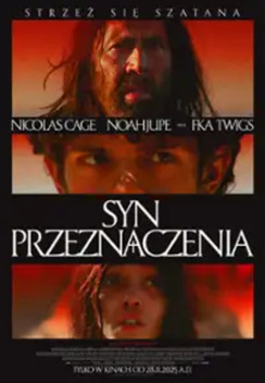 SYN PRZEZNACZENIA