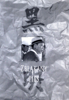 Zbłąkany pies