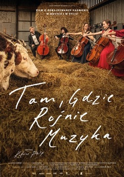 Tam, gdzie rośnie muzyka