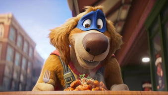 Super pies i kot łotr