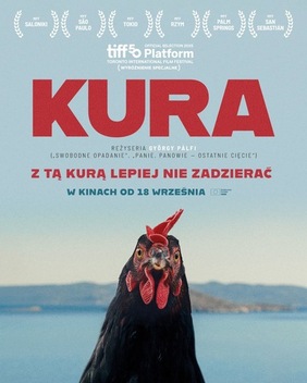 Kura_DKF