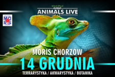 Bilety na: Animals Live Chorzów 14 Grudnia 2025 - Terrarystyka & Akwarystyka & Botanika