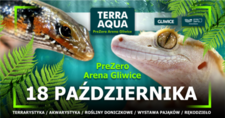 Bilety na: TERRA AQUA GLIWICE / TARGI AKWARYSTYKI / PIĘKNO RĘKODZIEŁA  / WYSTAWA PAJĄKÓW