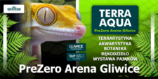 Bilety na: TERRA AQUA GLIWICE / TARGI AKWARYSTYKI / PIĘKNO RĘKODZIEŁA  / WYSTAWA PAJĄKÓW
