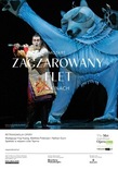 Bilety na: MET OPERA: Zaczarowany flet [sezon 2026-27 retransmisja]