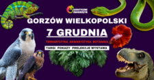 Bilety na: GORZÓW WIELKOPOLSKI 7 GRUDNIA Egzotyczne Zwierzęta TERRARYSTYKA AKWARYSTYKA i wiele więcej