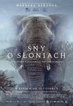 Bilety na: Sny o słoniach