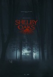 Bilety na: MARATON HALLOWEEN:  MIASTECZKO SHELBY OAKS