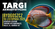 Bilety na: Targi Akwarystyczne Bydgoszcz