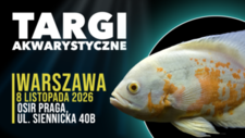 Bilety na: Targi Akwarystyczne Warszawa